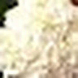 Meet your Posher, Augustrush